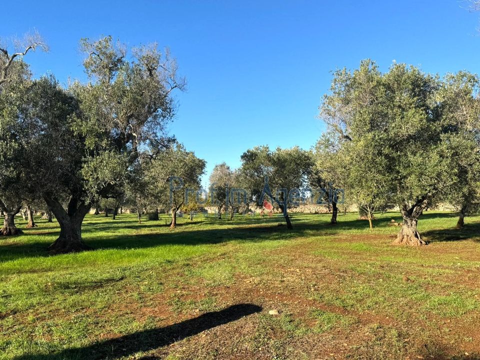 Landejendom i Ostuni, Brindisi - foto 5